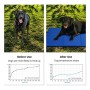 Lauva Tappetino per Cane, Tappetino Rinfrescante per Animali – Tappeto in Gel Autorinfrescante – Giaciglio Rinfrescante per 