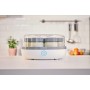 Severin Italia JG 3518, Yogurtiera con 7 Vasetti in Vetro da 150 ml con Coperchi 100% BPA Free, Yogurt Greco Realizzabile, Ricet