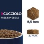 Eukanuba Cibo Secco Cuccioli Cani Taglia Piccola Pollo Fresco Confezione 3 kg