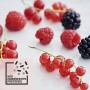 Cuisinart  ICE40 macchina per gelato [Importato da Francia]