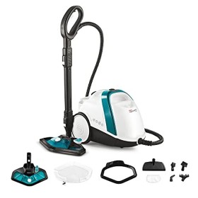 Polti Vaporetto Smart 100_T Pulitore a Vapore, Autonomia illimitata, caldaia ad alta pressione 4 bar, uccide ed elimina il 99,99