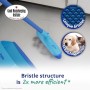 Spontex Catch & Clean Set completo con Scopa in Gomma per interno, Manico e Paletta