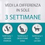 Purina One DC Sterilcat - Cibo secco per gatti sterilizzati, Manzo e Frumento, 800g, 8 Pezzi