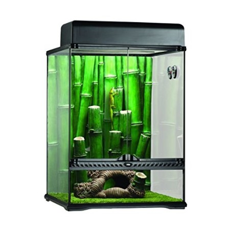 Exo Terra Terrario per Rettili Kit Grande Habitat Foresta di Bamboo