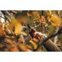 Fiskars Forbici bypass con impugnatura rotante, PowerGear X, Acciaio antiaderente, 22 cm, Nero/Arancione, PX94, 1023628