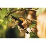 Fiskars Forbici bypass con impugnatura rotante, PowerGear X, Acciaio antiaderente, 22 cm, Nero/Arancione, PX94, 1023628
