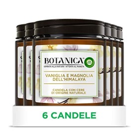 Airwick Botanica, Candele Profumate con Cera di Origine Naturale, Confezione da 6 Candele, fragranza Vaniglia e Magnolia dell'Hi