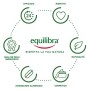 Equilibra Sciroppo di Agave Brown Bio e Vegan - 350 g