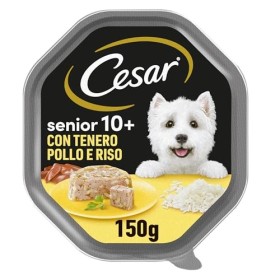 Cesar Senior 10+ Cibo per Cane con Delizioso Pollo e Riso in Una Delicata Gelatina 150 g - 14 Vaschette