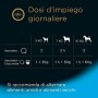 Cesar Senior 10+ Cibo per Cane con Delizioso Pollo e Riso in Una Delicata Gelatina 150 g - 14 Vaschette