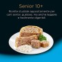 Cesar Senior 10+ Cibo per Cane con Delizioso Pollo e Riso in Una Delicata Gelatina 150 g - 14 Vaschette
