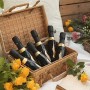 Bottega Poeti Prosecco Doc Spumante - Birillo - 6 Bottiglie da 200 ml