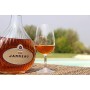 Armagnac Janneau Vsop 1050074 Armagnac - 70 cl