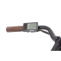 F.lli Schiano E- voke, Bicicletta elettrica Unisex Adulto, Nera, 28''