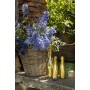 Bottega Gold Prosecco DOC - 6 X 200 ml