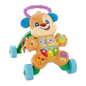 Fisher-Price Cagnolino Primi Passi Spingibile, Giocattolo Elettronico Educativo con Musica e Suoni, per Bambini di 6 + Mesi, FRC