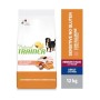 Natural Trainer Cibo per Cani, 12Kg