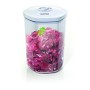 Laica VT3304 Contenitore per Sottovuoto, 2 Litri