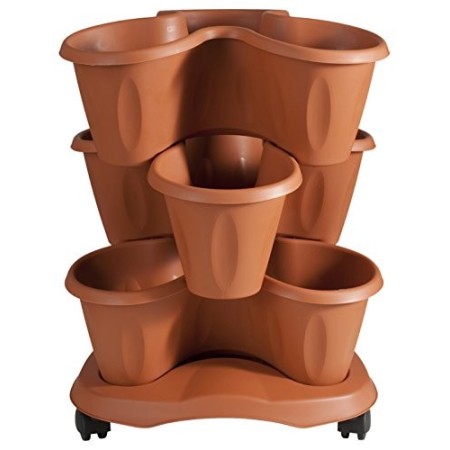 Bama Vaso Trifoglio