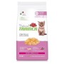 NovaFoods Cibo per Gatti Natural Cat Kitten 1,5KG - 1500 gr, Gusto di Pollo