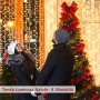 600 LED 6Mx3M Zorela Tenda Luminosa Natale IP44 Impermeabile Luci di Natale 8 Modalità Tenda Luminosa Esterno Bianco Caldo Tend