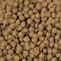 Sera  Cibo Per Rettili Carnivori Alimento Professionale Confezione da 330 Grammi