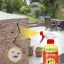 Orphea 188192 - Insetticida Spray, Ampio Spettro d'Azione, 500ml (Contro Formiche, Scarafaggi, Acari, Pulci, Centopiedi, Mosche,