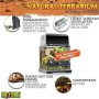 Exo Terra Micro Terrario in Vetro per Rettili Dimensioni 20 x 20 x h 20 cm