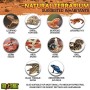 Exo Terra Micro Terrario in Vetro per Rettili Dimensioni 20 x 20 x h 20 cm