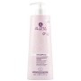 Alama Professional Shampoo Mantenimento Colore per Capelli Colorati - 500 ml
