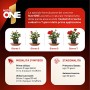NUTRI 1 ONE One Concime concentrato per Piante e Fiori, 1 litro