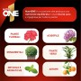 NUTRI 1 ONE One Concime concentrato per Piante e Fiori, 1 litro