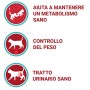 Purina One DC Sterilcat - Cibo secco per gatti sterilizzati, Manzo e Frumento, 800g, 8 Pezzi