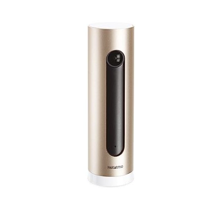 Netatmo Telecamera Wifi Interno, Sensore Di Movimento, Visione Notturna, Senza Abbonamenti, NSC01-EU (Welcome)