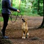 dibea Guinzaglio retriever guinzaglio per cani guinzaglio formazione 120 cm lunghezza Nero