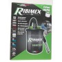 RIBIMEX prcen011 Aspiracenere Elettrico Minicen, 800 W, 10 L