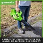 Greenworks Aspirapolvere a Batteria e Soffiatore di Foglie 2in1, GD40BVK2X, Li-Ion 40 V, 185km/h Velocità dell'aria,Velocità V