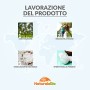 Olio di Cocco Biologico Extra Vergine 200 ml. Crudo e Spremuto a Freddo. 100% Organico, Naturale e Puro. Bio Nativo e non Raffin