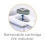 Laica J31AB Stream Line Caraffa Filtrante, filtro Bi-Flux incluso, Verde/Trasparente