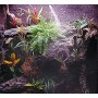 Lucky Reptile SF-1 Nebulizzatore per Terrario Super Fog Humidifier