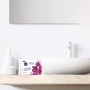 Nivea Salviette detergenti e delicato secche e sensibili x25 pelle - Set di 4