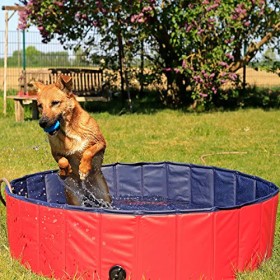 Dibea Piscina per Cani Pieghevole in PVC, piscinetta per Cani, Bagno per Cani, Piscina per Cani di Diverse Misure, Ø (M) 120 x 