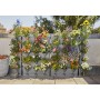 Gardena 13150-20 Parete Giardino Verticale per Piante in Balcone Terrazzo & Cortile Natureup! 