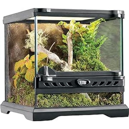 Exo Terra Micro Terrario in Vetro per Rettili Dimensioni 20 x 20 x h 20 cm