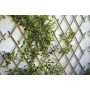 VERDELOOK Traliccio Estensibile in Bamboo, 150x180 cm, Ideale per Decorazione Esterni