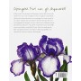 Dipingere fiori con gli acquarelli