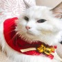 Vestiti per Gatti Natale Cape Costume per Gatto Natale Regolabile Abbigliamento Rosso avec Clochette per Animali Domestici Cani 