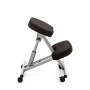 Tomasucci 1644 Berger - Sgabello ergonomico, Alzata a gas regolabile in altezza, Alluminio/Nero