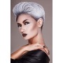 Etolab, colorazione semipermanente per capelli, 3x125 ml, argento