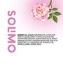 Marchio Amazon - Solimo Deodorante roll-on anti-traspirante, cura delicata, profumo di rosa, Confezione da 6 (6x50 ml)